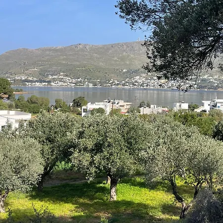 The Velanidies - Οι Βελανιδιές Agia Marina  Exterior photo