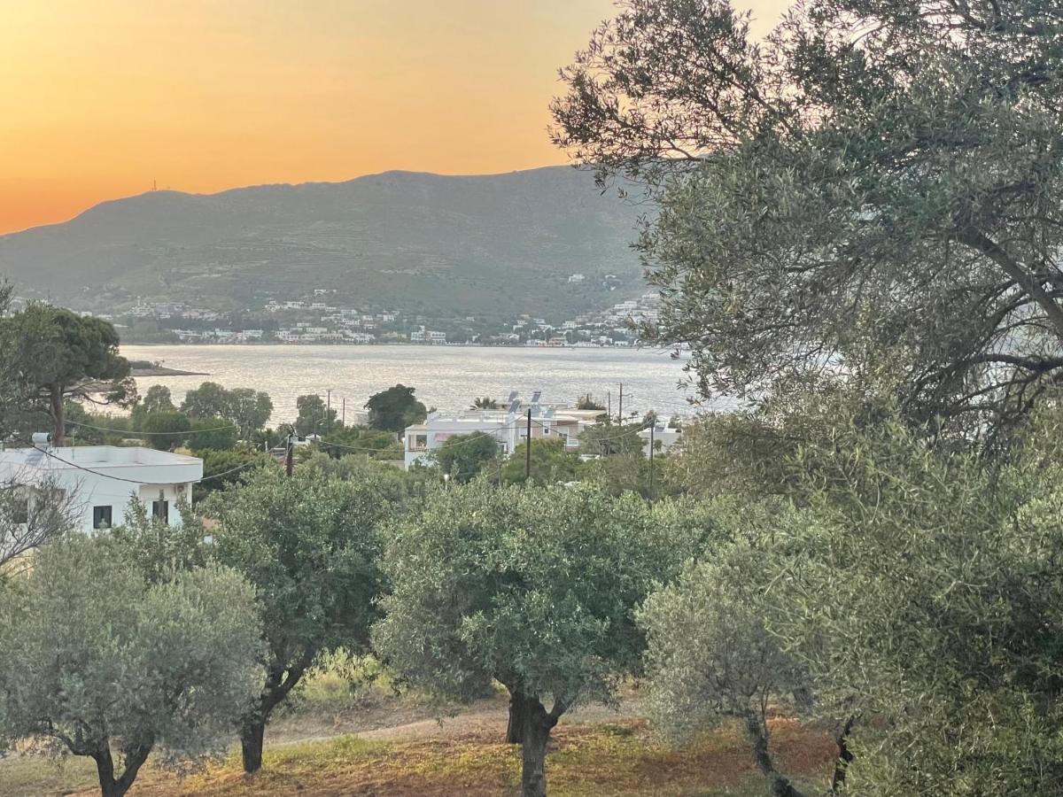 The Velanidies - οι βελανιδιές * Agia Marina (Leros)